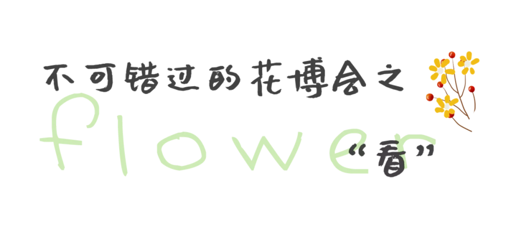 花博會正式啓動|楓動體育爲(for)助力百萬職工看花博特推出(out)系列主題活動！趕快來(Come)預約吧！ 資訊動态 第4張