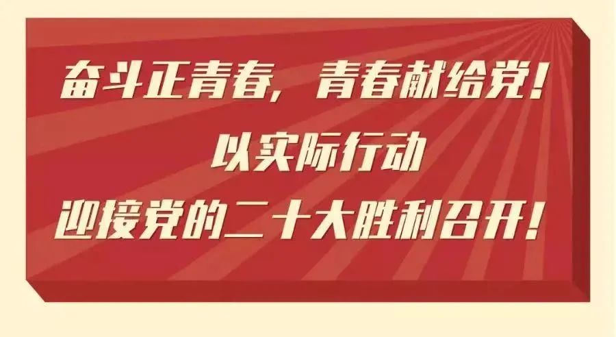 學習二十大(big)健步活動|楓動體育爲(for)企業組織開展“學習二十大(big)，雲上健步走”主題活動，歡迎預約咨詢~ 資訊動态 第2張