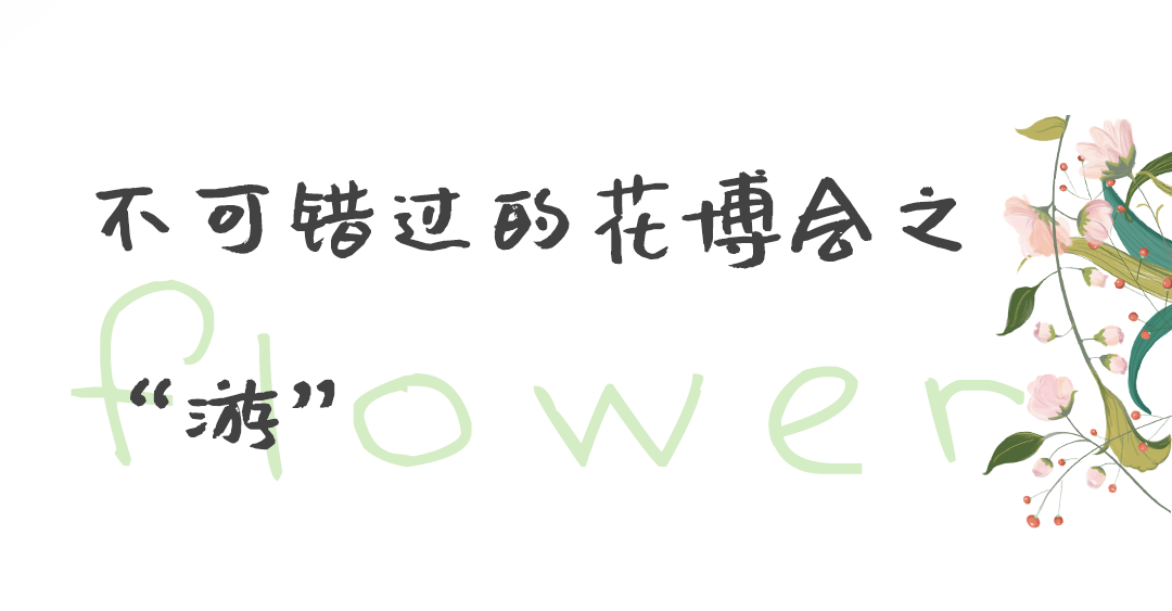 花博會正式啓動|楓動體育爲(for)助力百萬職工看花博特推出(out)系列主題活動！趕快來(Come)預約吧！ 資訊動态 第6張