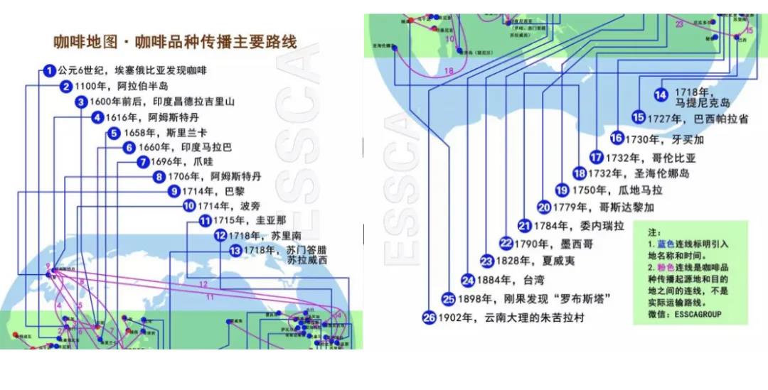 “咖啡基礎知識”你了(Got it)解多少？東浩蘭生(born)集團職工拉花咖啡制作(do)培訓活動圓滿結束！ 資訊動态 第3張